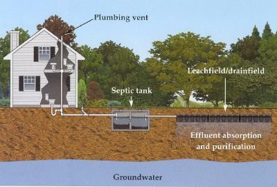 Diagram of a residential septic system showing plumbing vent, septic tank, leachfield, effluent absorption, and groundwater