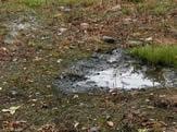 Standing water pooling over a leach field — a sign of septic system failure